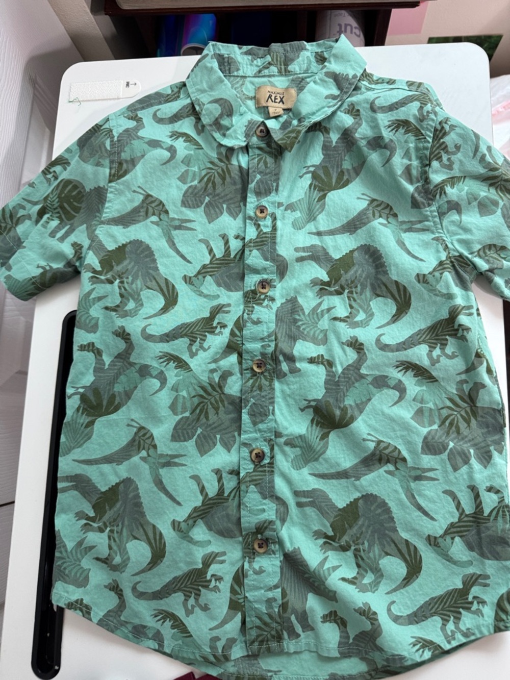 Kids' Mint Green Dinosaur Print Button-Down Shirt